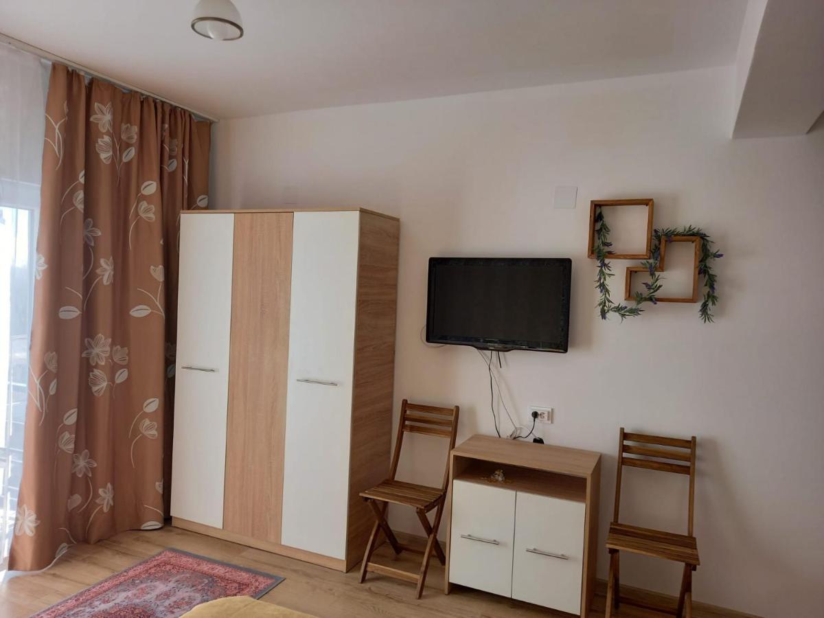 Conacul Doamnei Nucsoara Hotel Buitenkant foto