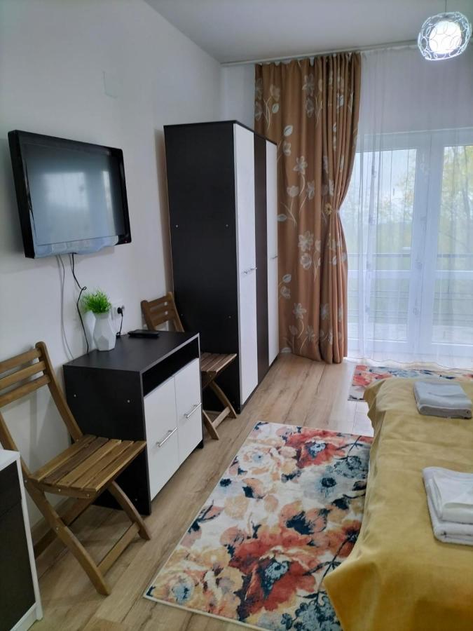 Conacul Doamnei Nucsoara Hotel Buitenkant foto