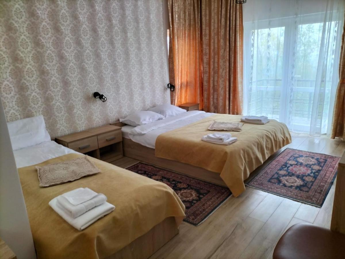 Conacul Doamnei Nucsoara Hotel Buitenkant foto
