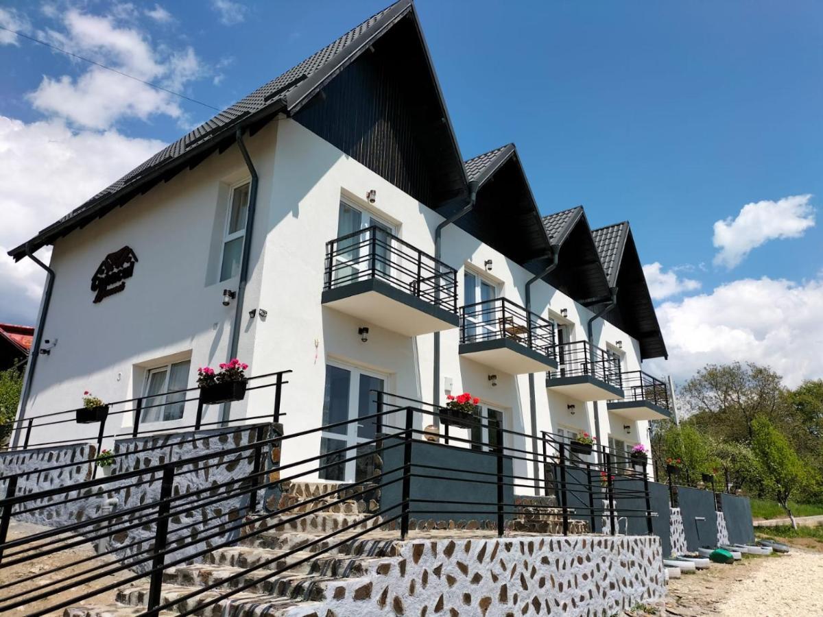Conacul Doamnei Nucsoara Hotel Buitenkant foto