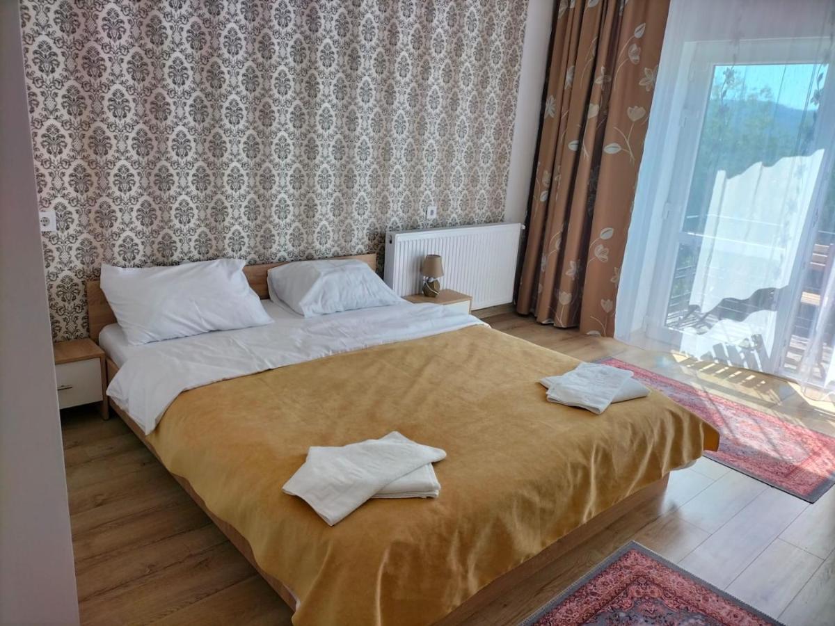 Conacul Doamnei Nucsoara Hotel Buitenkant foto