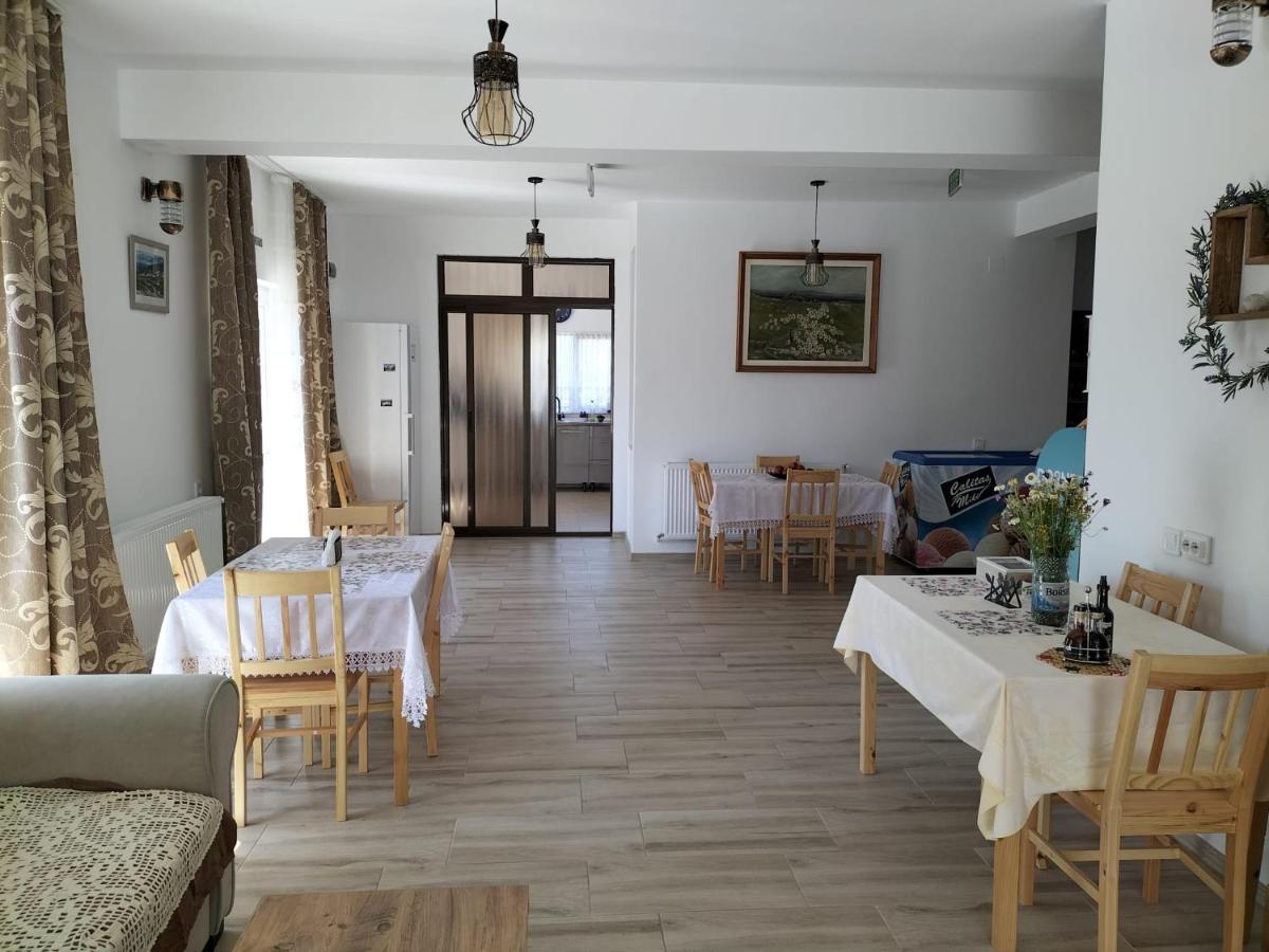 Conacul Doamnei Nucsoara Hotel Buitenkant foto