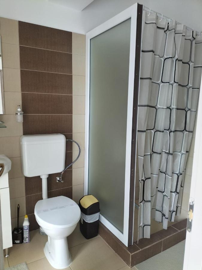 Conacul Doamnei Nucsoara Hotel Buitenkant foto