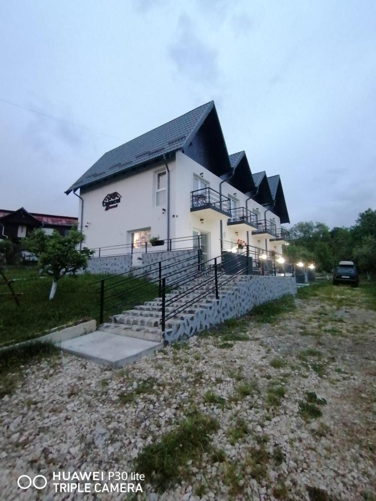 Conacul Doamnei Nucsoara Hotel Buitenkant foto