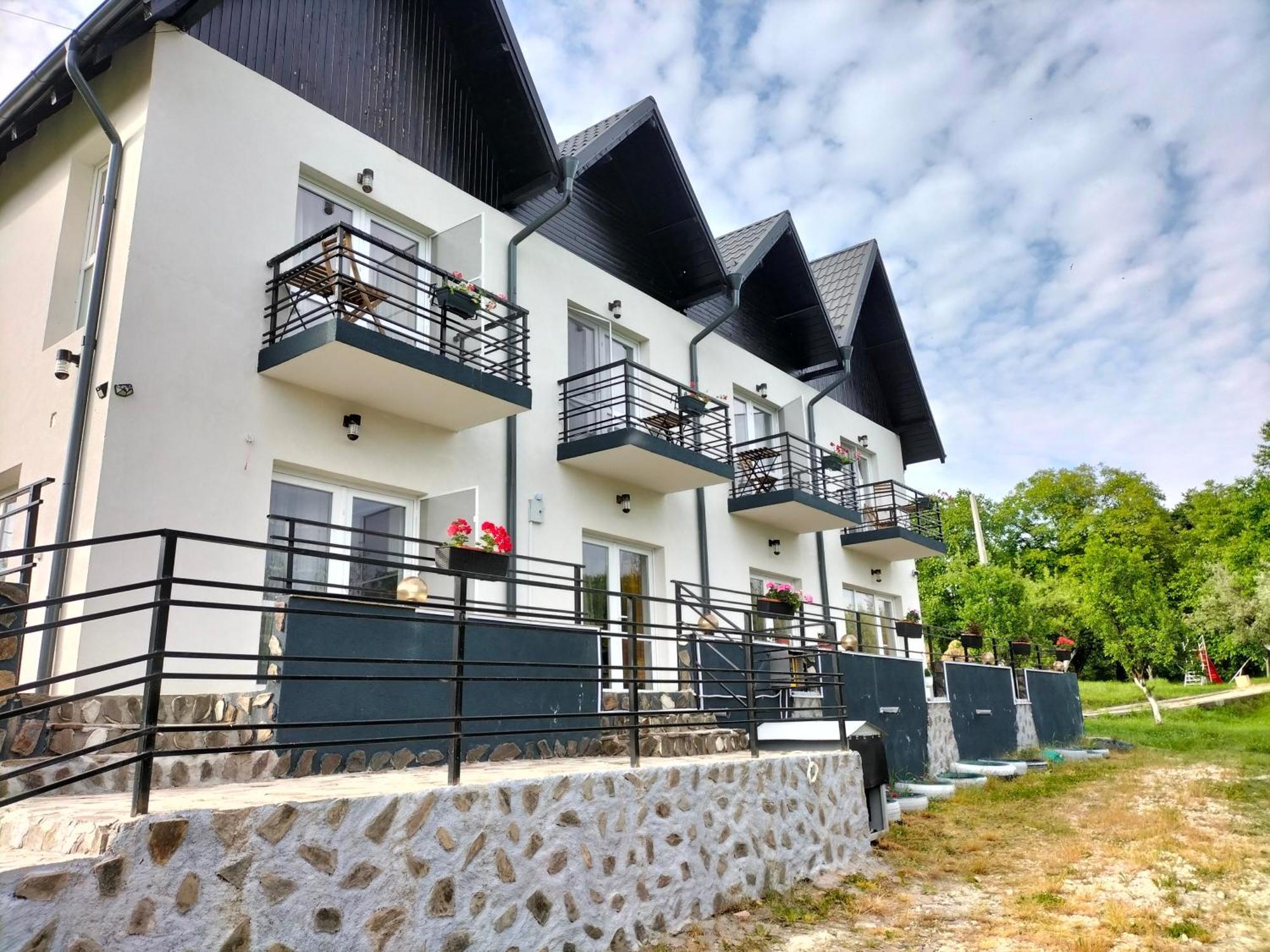 Conacul Doamnei Nucsoara Hotel Buitenkant foto